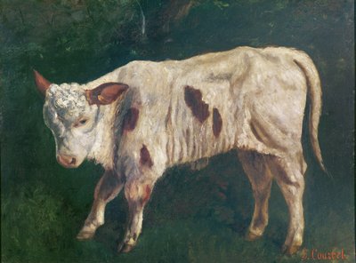 Um bezerro de Gustave Courbet